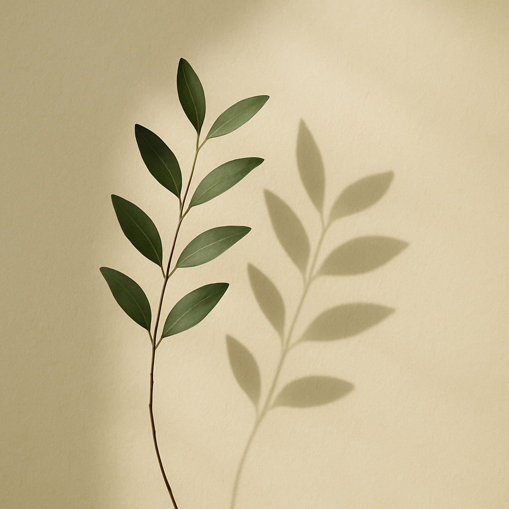 A single sprig of green foliage casting a soft shadow on a warm paper-cream wall